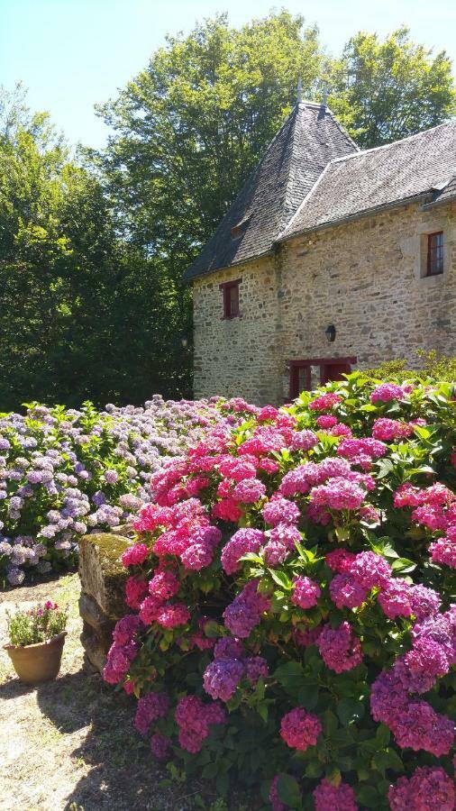 Chateau De Bellefond Lagraulière Exteriér fotografie