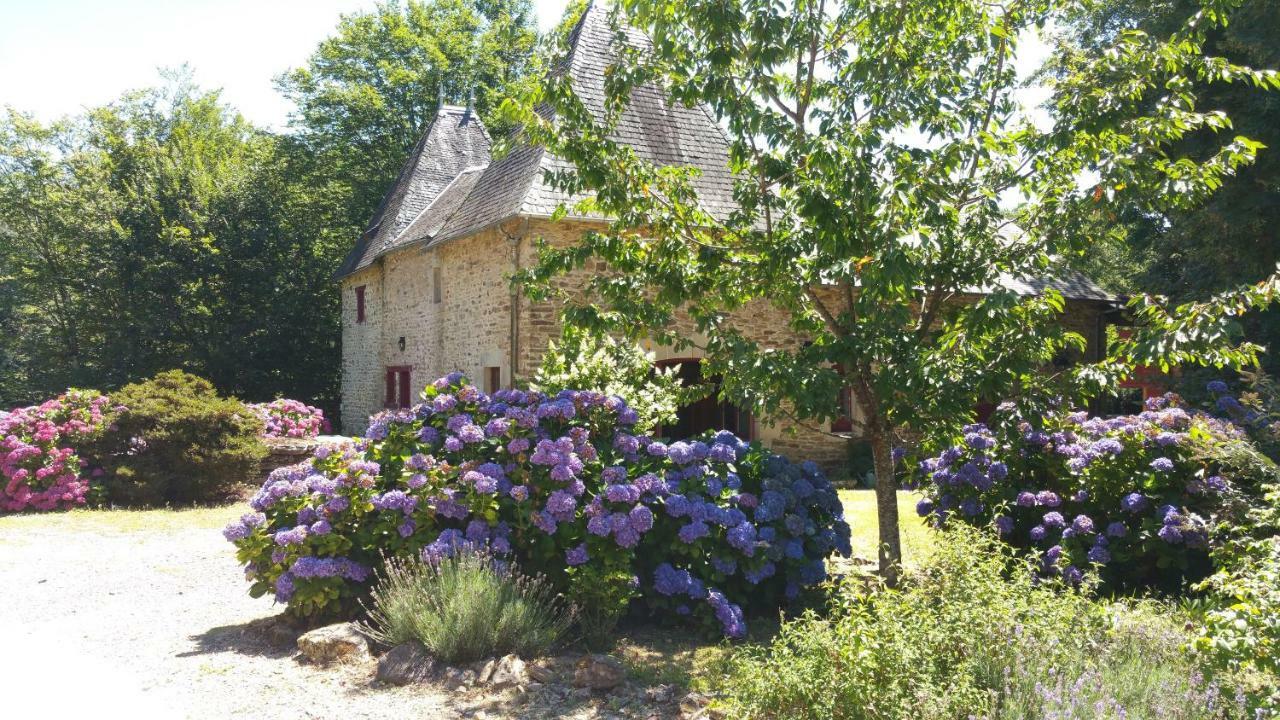 Chateau De Bellefond Lagraulière Exteriér fotografie